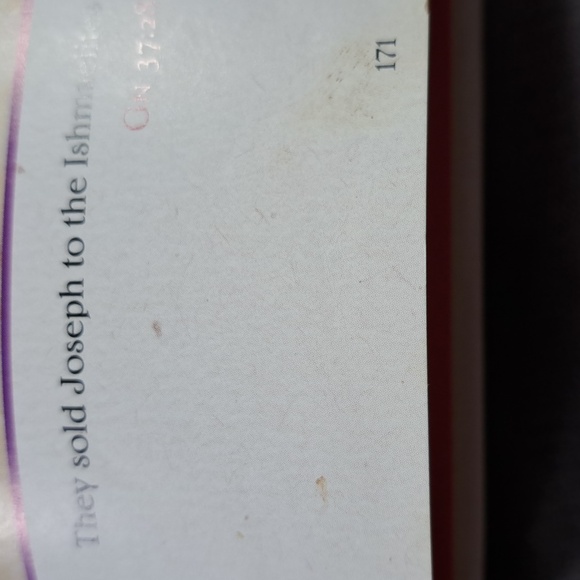 The Brick Testament: Stories From The Book of Genesis Brendan P. Smith G - Picture 12 of 13